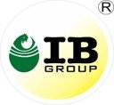 IB Group